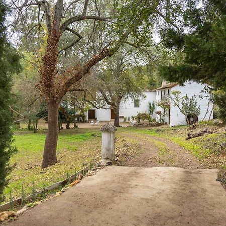 Villa Molino De Gris Cazorla Chilluevar Exterior foto